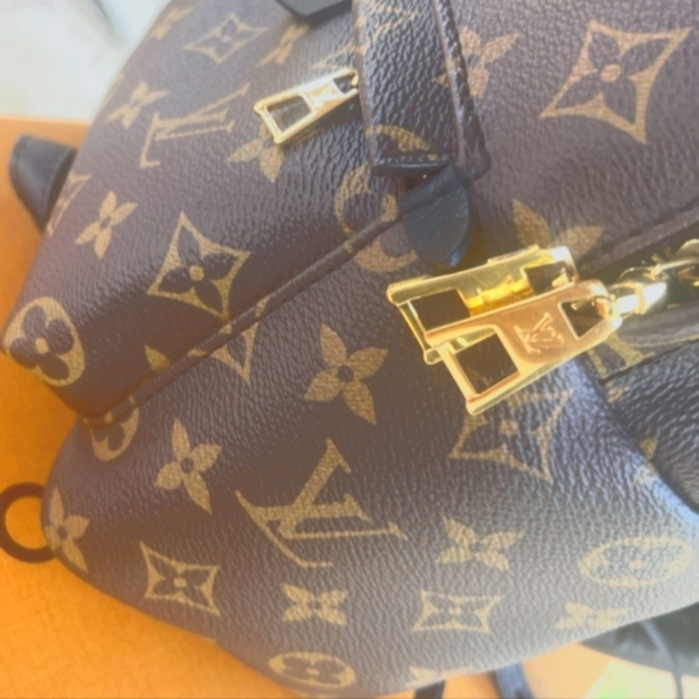 Louis Vuitton LV Monogram Palm Springs Backpack PM M44871